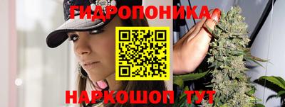 индика Малгобек