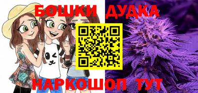индика Малгобек