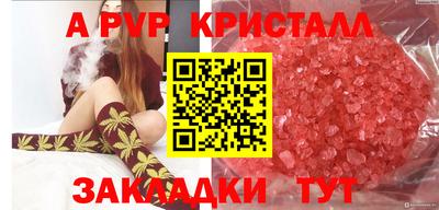 индика Малгобек